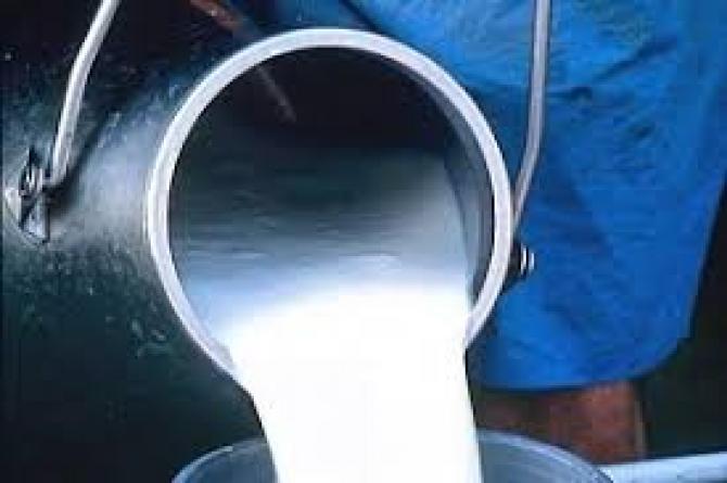 Госантимонополии поручено провести работу по цене на прием молока у фермеров &mdash; Tazabek