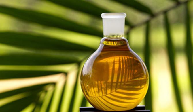 Кыргызстан завозит пальмовое масло из Малайзии Индонезии и Китая &mdash; Tazabek