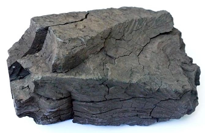 Госгеология объявила аукцион на разведку участка месторождения бурого угля Кок-Мойнок &mdash; Tazabek