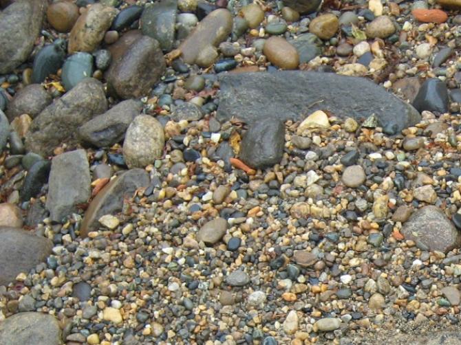 Правительство поручило ГКНБ, ГСБЭП и ГТС пресекать незаконный оборот драгметаллов &mdash; Tazabek