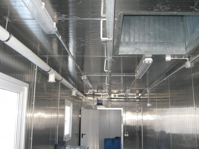 Госветсанинспекция: В Бишкеке функционируют 3 официально разрешенных пункта убоя скота на мясо &mdash; Tazabek