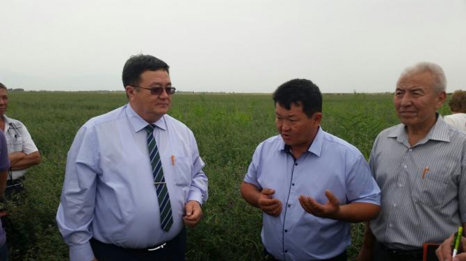 В Чуйской области впервые применено капельное орошение &mdash; Tazabek