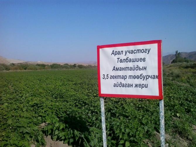 Глава Госантимонополии предположил, что в этом году цены на фасоль поднимутся &mdash; Tazabek