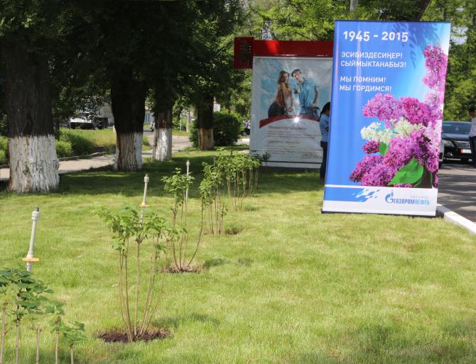 PR: Сеть АЗС &laquo;Газпромнефть&raquo; в Кыргызстане поддержала акцию &laquo;Сирень Победы&raquo; &mdash; Tazabek