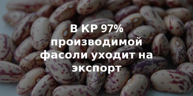 Политическая обстановка в Таласе влияет на экспорт фасоли, - предприниматель У.Ниязалиев &mdash; Tazabek