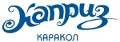 <p>   </p>
